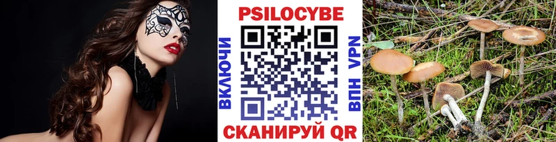 Галлюциногенные грибы Cubensis  Котельниково 